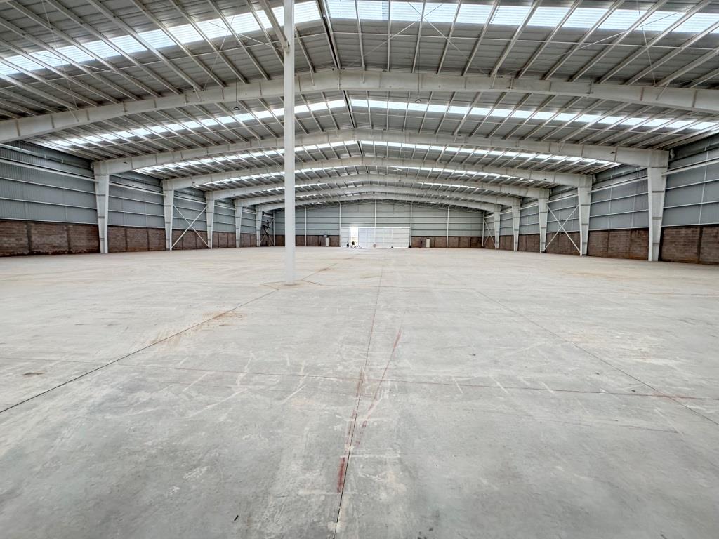 latest property