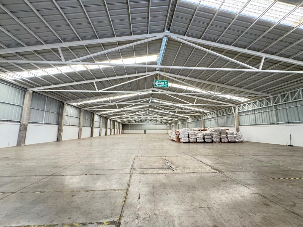 latest property
