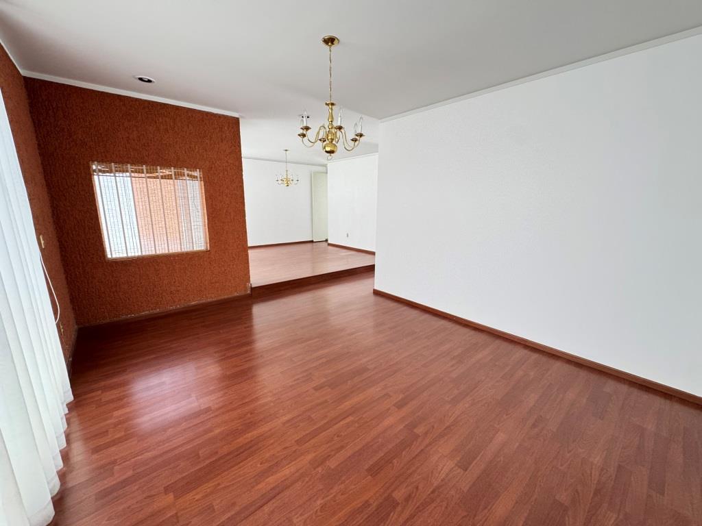 latest property