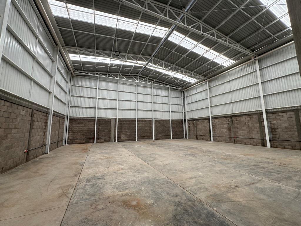 latest property