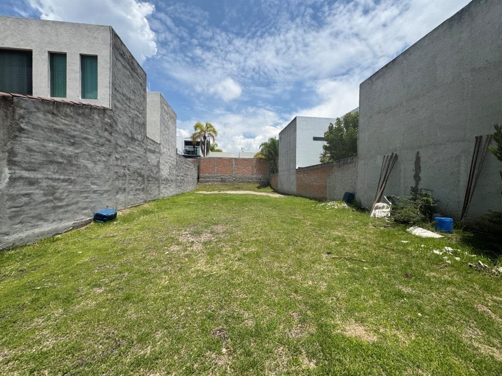 latest property