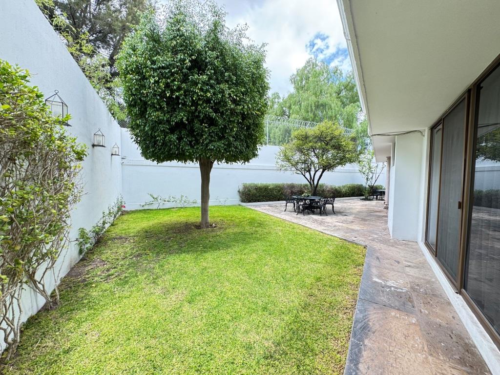 latest property