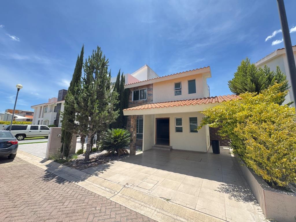 latest property