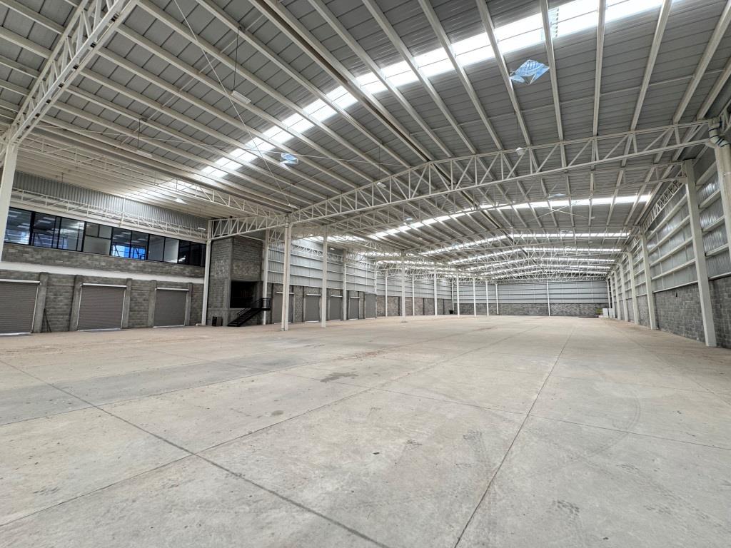 latest property