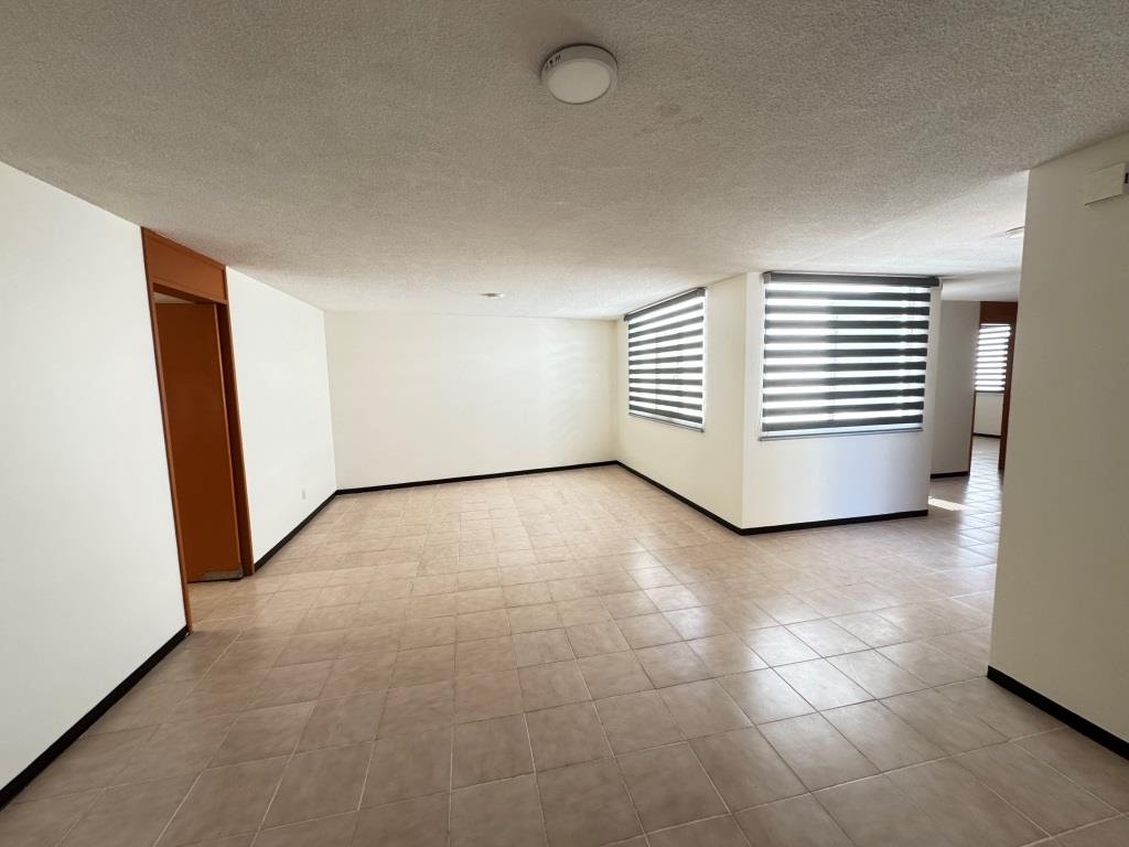 latest property
