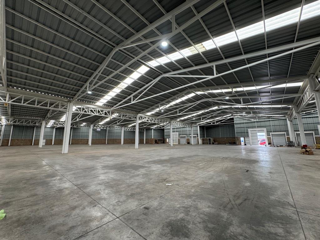 latest property