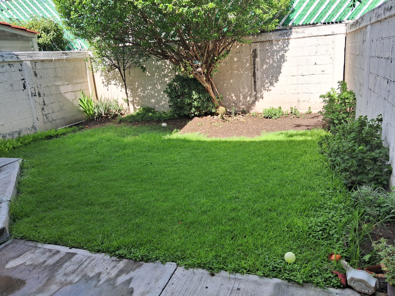 latest property