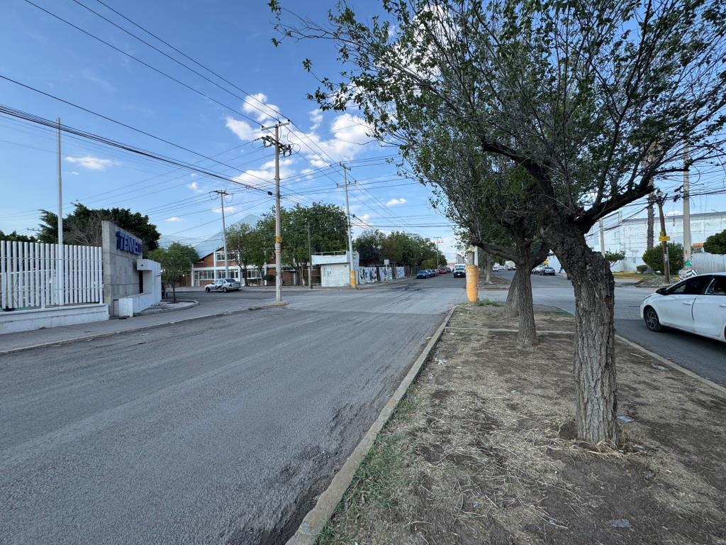 Imagen 1