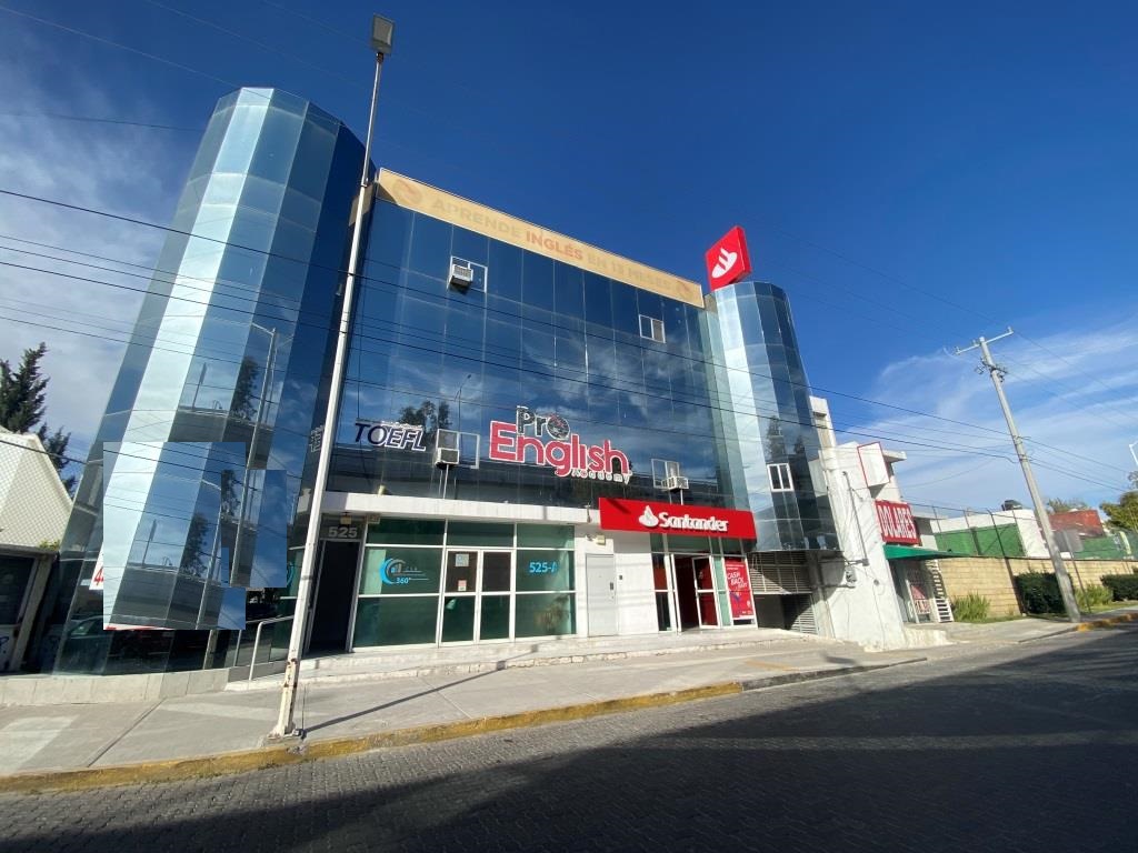Imagen 1